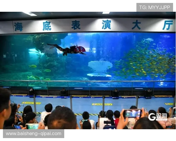 菲鱼直播:畅游水下的奇幻世界之旅 菲鱼直播:畅游水下的奇幻世界之旅